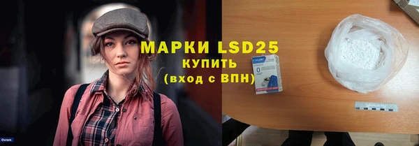 стаф Вязьма