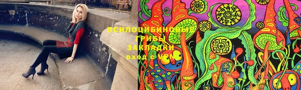 стаф Вязьма