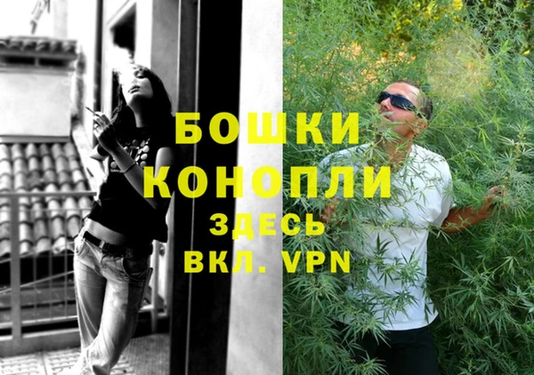 стаф Вязьма