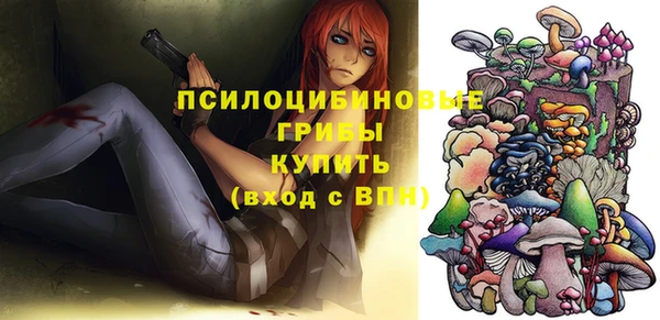 стаф Вязьма