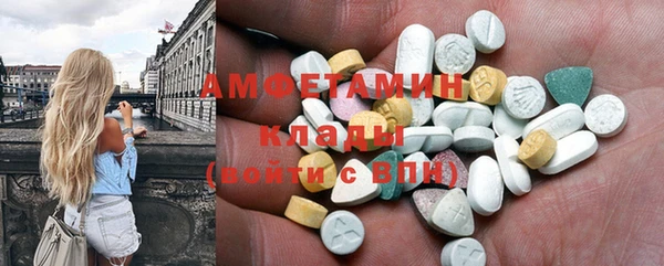 стаф Вязьма