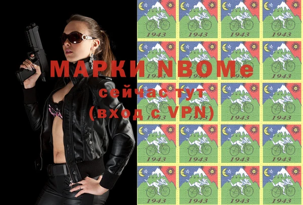 стаф Вязьма