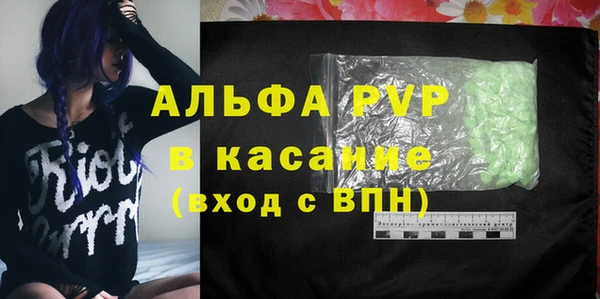 стаф Вязьма