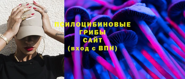 стаф Вязьма
