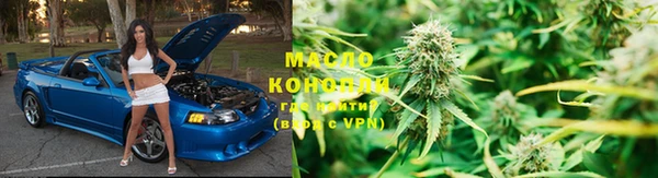 стаф Вязьма