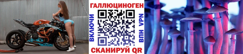 Купить закладки  Окуловка  Псилоцибиновые грибы Psilocybine cubensis 